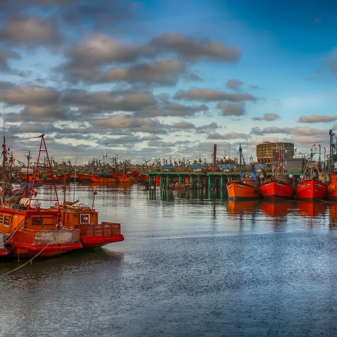 edi-libedinsky-kSG7nXDxZ_E-unsplash